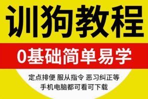 训狗教程视频 训狗师专业指导零基础自学宠物训练犬课程